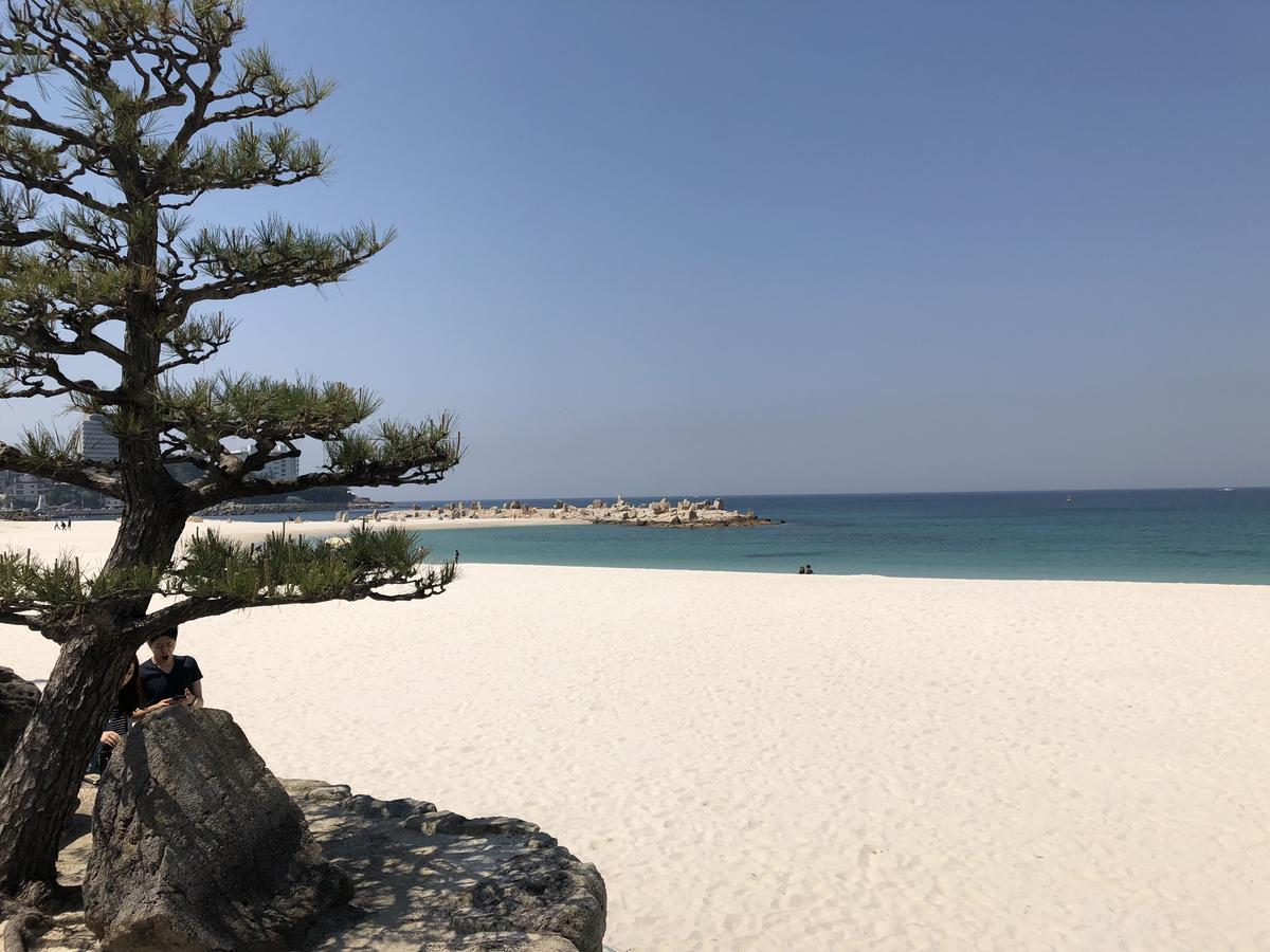 長楽園 Villa Shirahama Luaran gambar